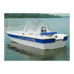 Стеклопластиковый катер Wyatboat-430DСM